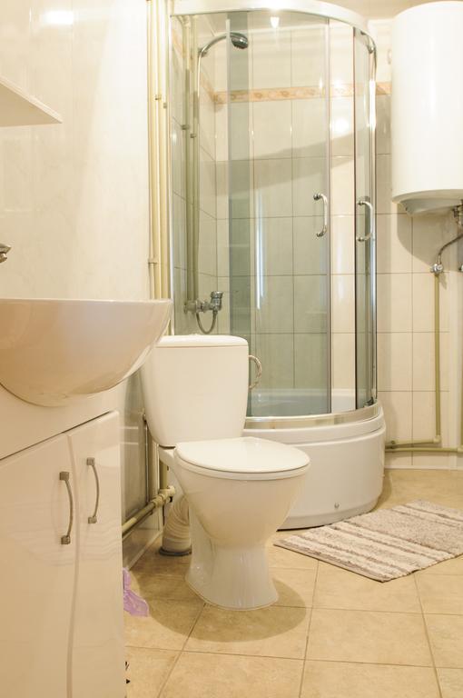Karpatskiy Maetok Apartment Verhovîna Exterior foto