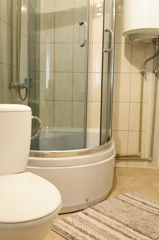 Karpatskiy Maetok Apartment Verhovîna Exterior foto